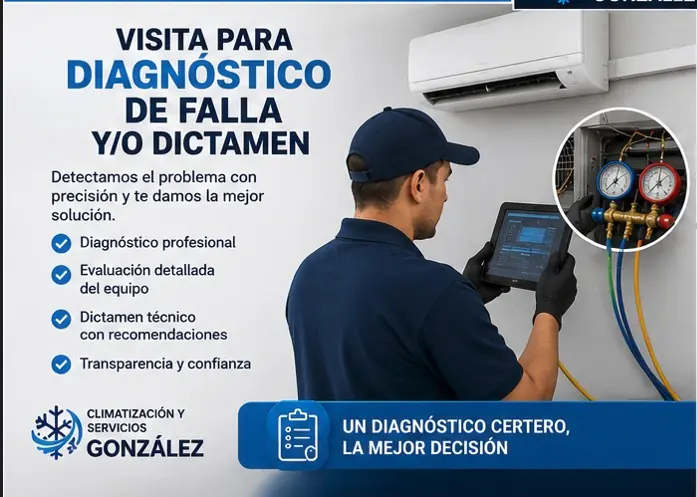 Visita para diagnóstico de falla y dictamen técnico